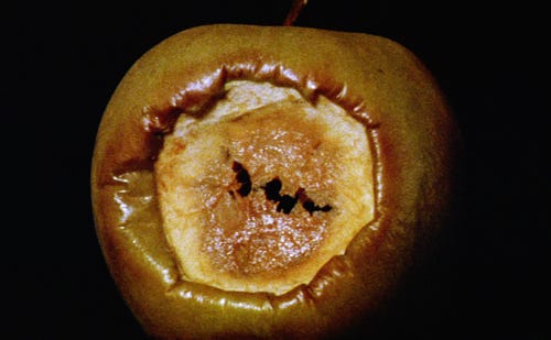 imagem da maçã mordida apodrecendo, escura