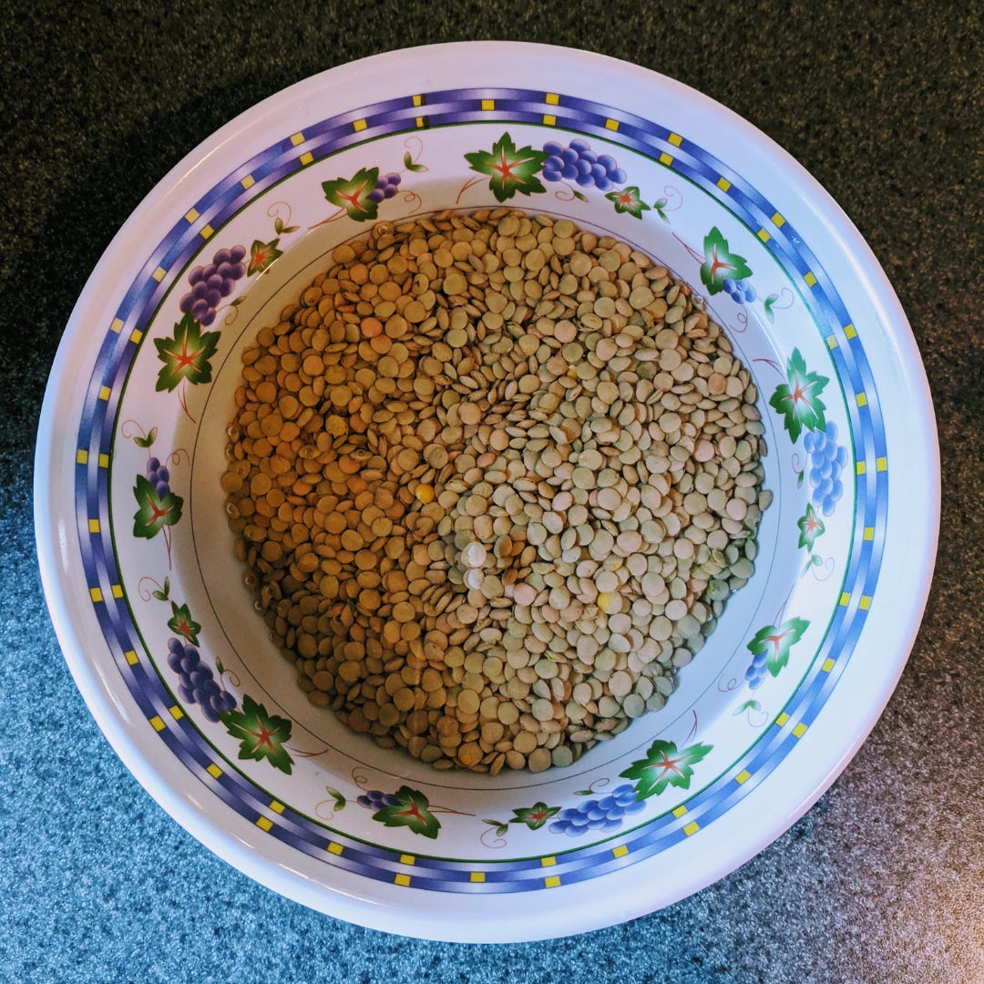 lentils appear like small coins soaking in clear water in a bowl decorated with flowers and curved lines around its rim