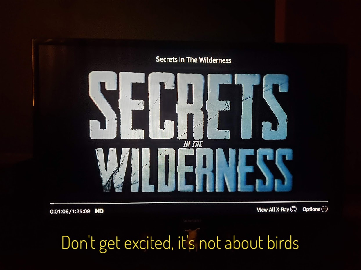 The title screen, captioned "Don't get excited, it's not about birds"