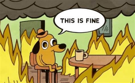 The "This is fine" meme.