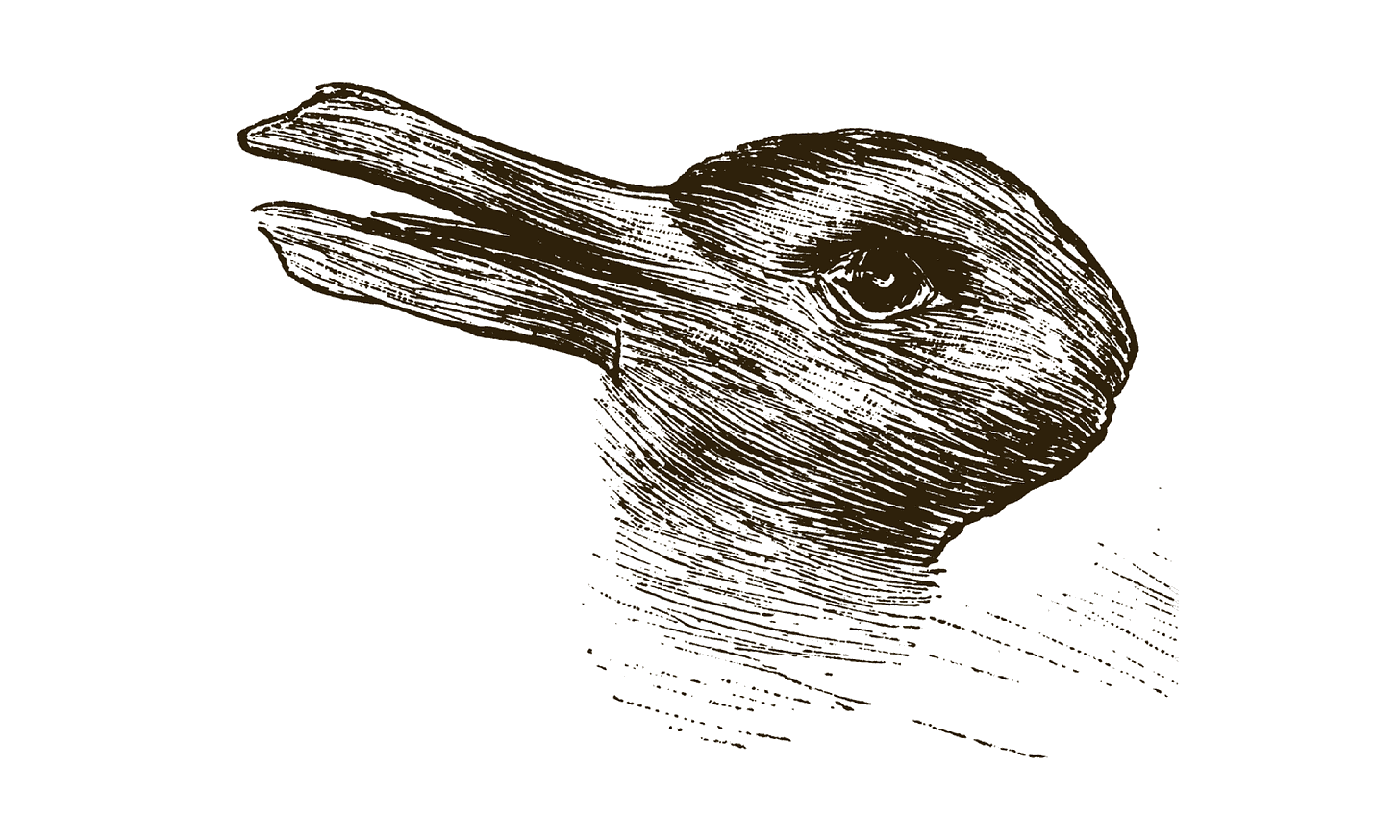 Drawing which could be interpreted as a duck head or a rabbit's head. 