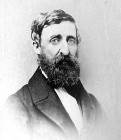 Image of Thoreau portrait
