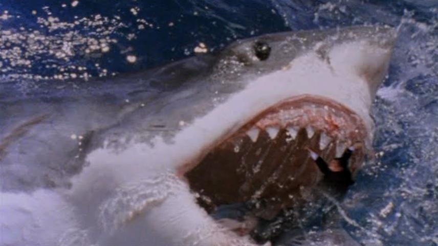 Movie still from Shark Attack 3: Megalodon. A man is getting eaten by a huge shark!