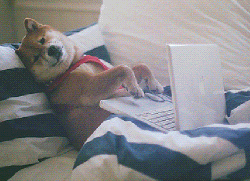 GIF colorido de um cachorro mexendo as patas diante de um notebook.