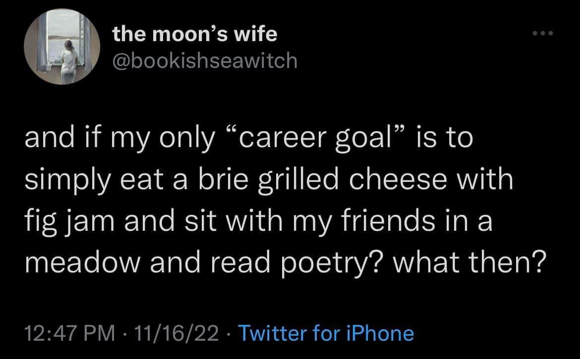 May be an image of text that says 'the moon's wife @bookishseawitch and if my only "career goal" is to simply eat a brie grilled cheese with fig jam and sit with my friends in a meadow and read poetry? what then? 12:47 11/16/22 Twitter for iPhone'