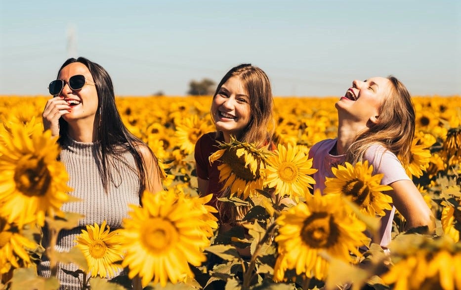 three happy girls in field of sunflowers