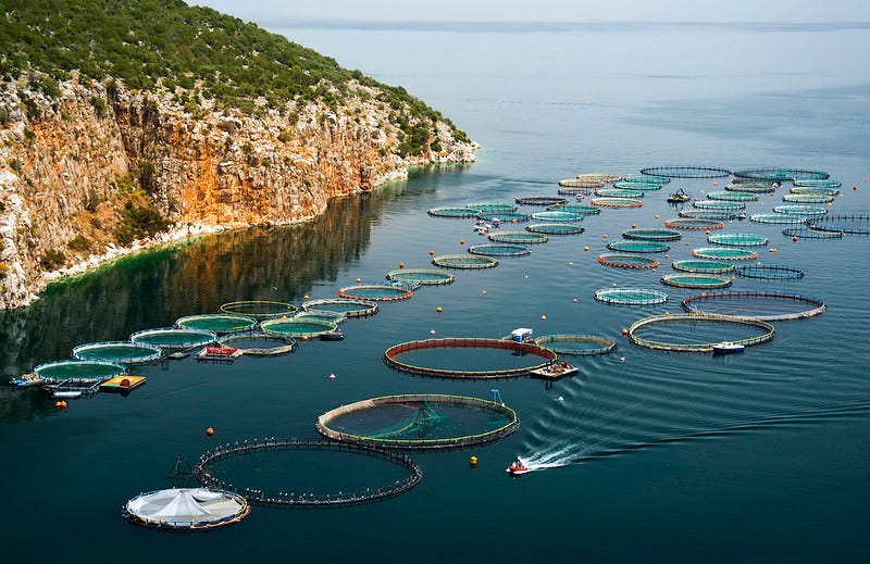 Photo of coastal fish farm