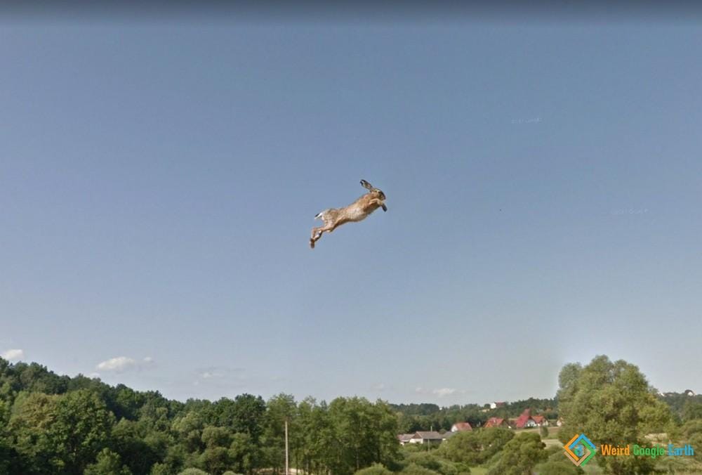 Flying Rabbit – Weird Google Earth