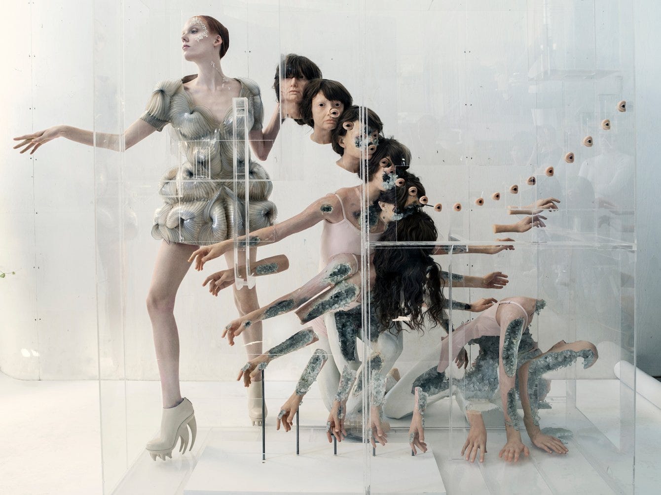 Collaboration with David Altmejd and Tim Walker