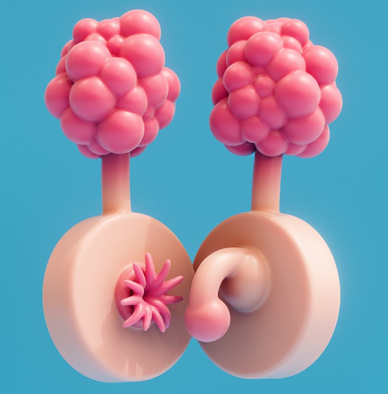 A plumbus, everyone knows what it looks like with its tendrils, buldges and dangly bits so there's no need to describe this common household object