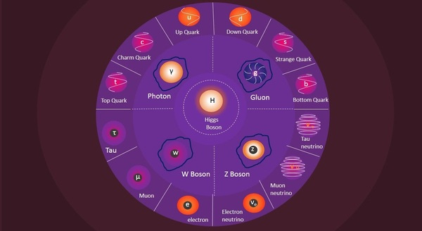 Standard model 