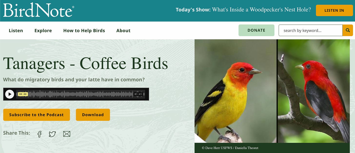 A screenshot of the front page of birdnote.org. On the left is the podcast episode title and a graphic and sound wavelengths. On the right are two photos of colorful Western Tanager Birds. The male is bright yellow on the body and back with black wings and a bright red head. The female has an all red body and head with black wings and tail feathers.