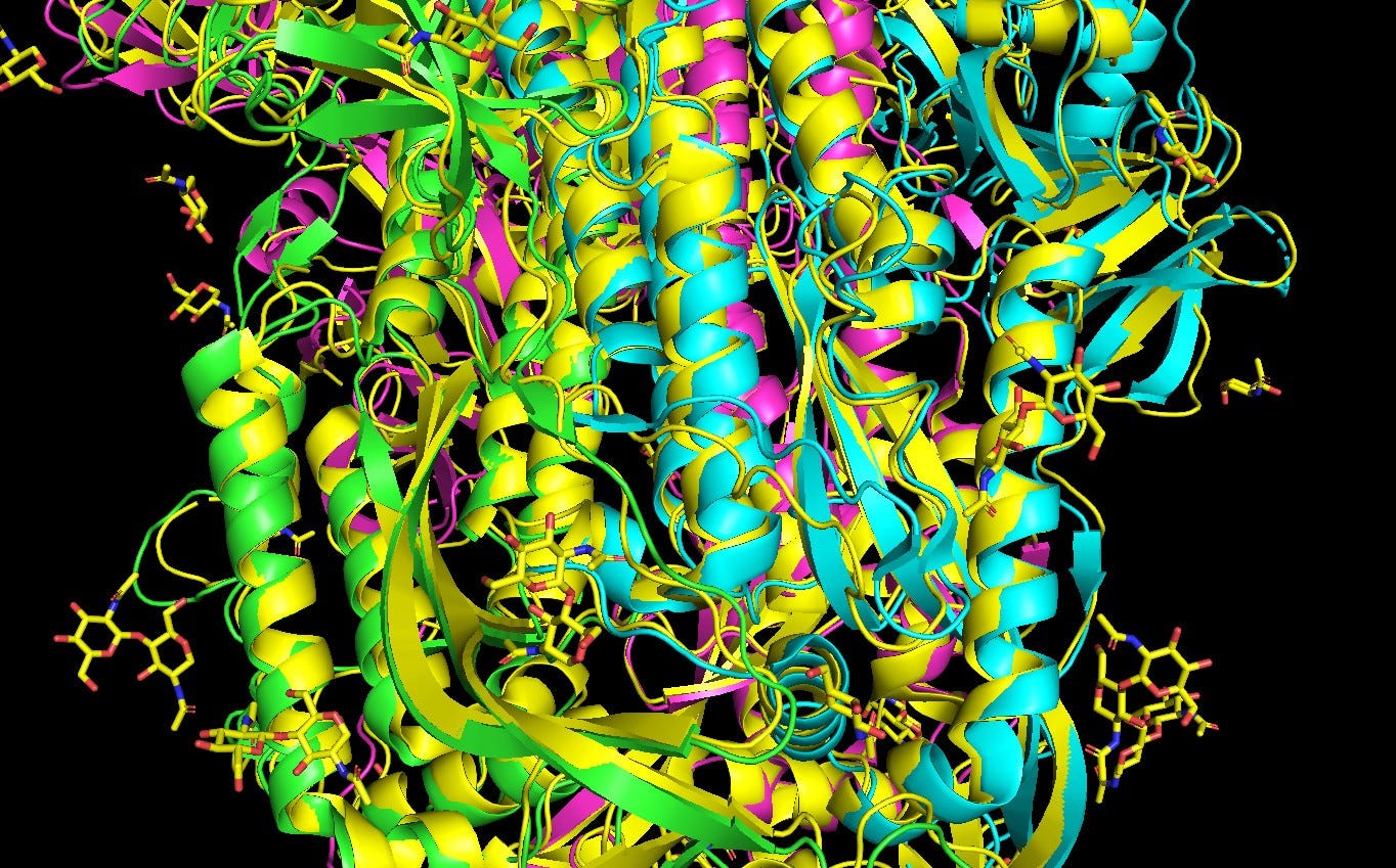 Spike-Protein von SARS-CoV-2, PDB 6VSB (https://www.rcsb.org/structure/6VSB) ausgerichtet mit benutzerdefinierten Lücken gef