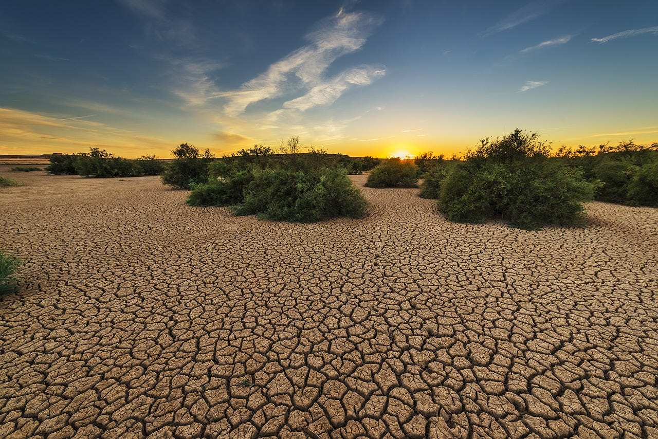 The foreground is dry, cracked brown earth, and the sky is a blue and orange sunset with a streak of white clouds. The horizon is dotted with stunted, scrubby bushes.