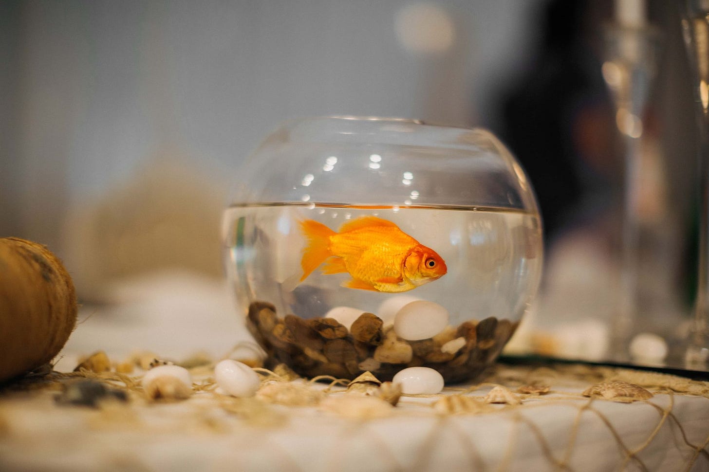 Stop suffering from 'Goldfish Memory' at the Sprint Review
