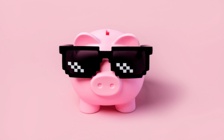 30 Piggy Bank Gift Ideas That'll Motivate You To Save More Money - Finsavvy  Panda