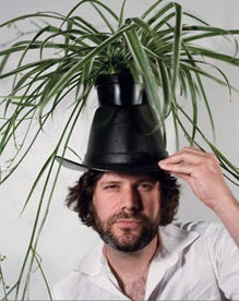 plant hat