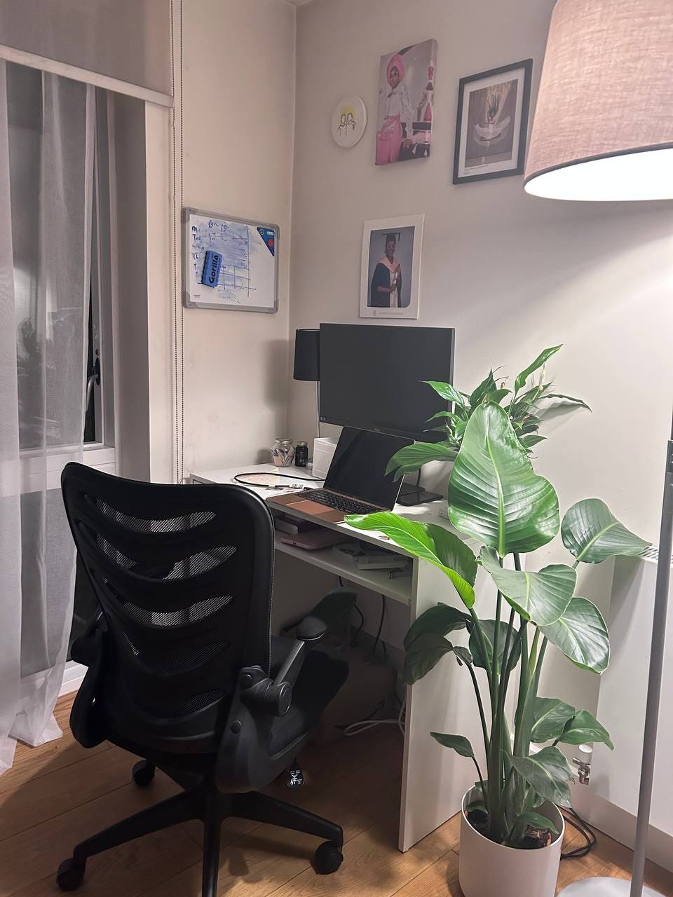 Intimate workspace with monitor, macbook, plant and lamp