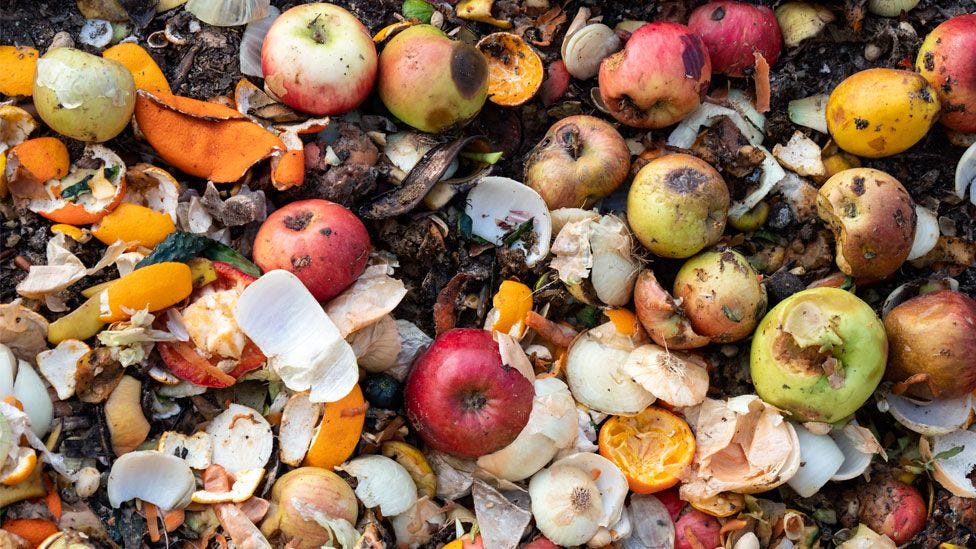 Food waste: Amount thrown away totals 900 million tonnes - BBC News