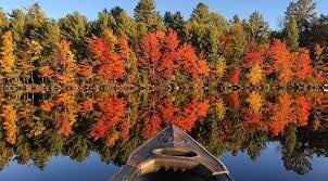 Best places to see beautiful fall foliage in Ontario over the long weekend  | Listed