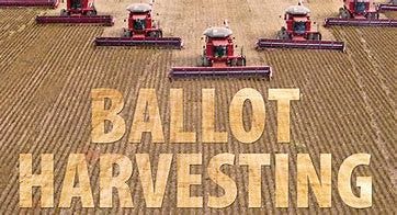 Image result for Images for Ballot Harvesting