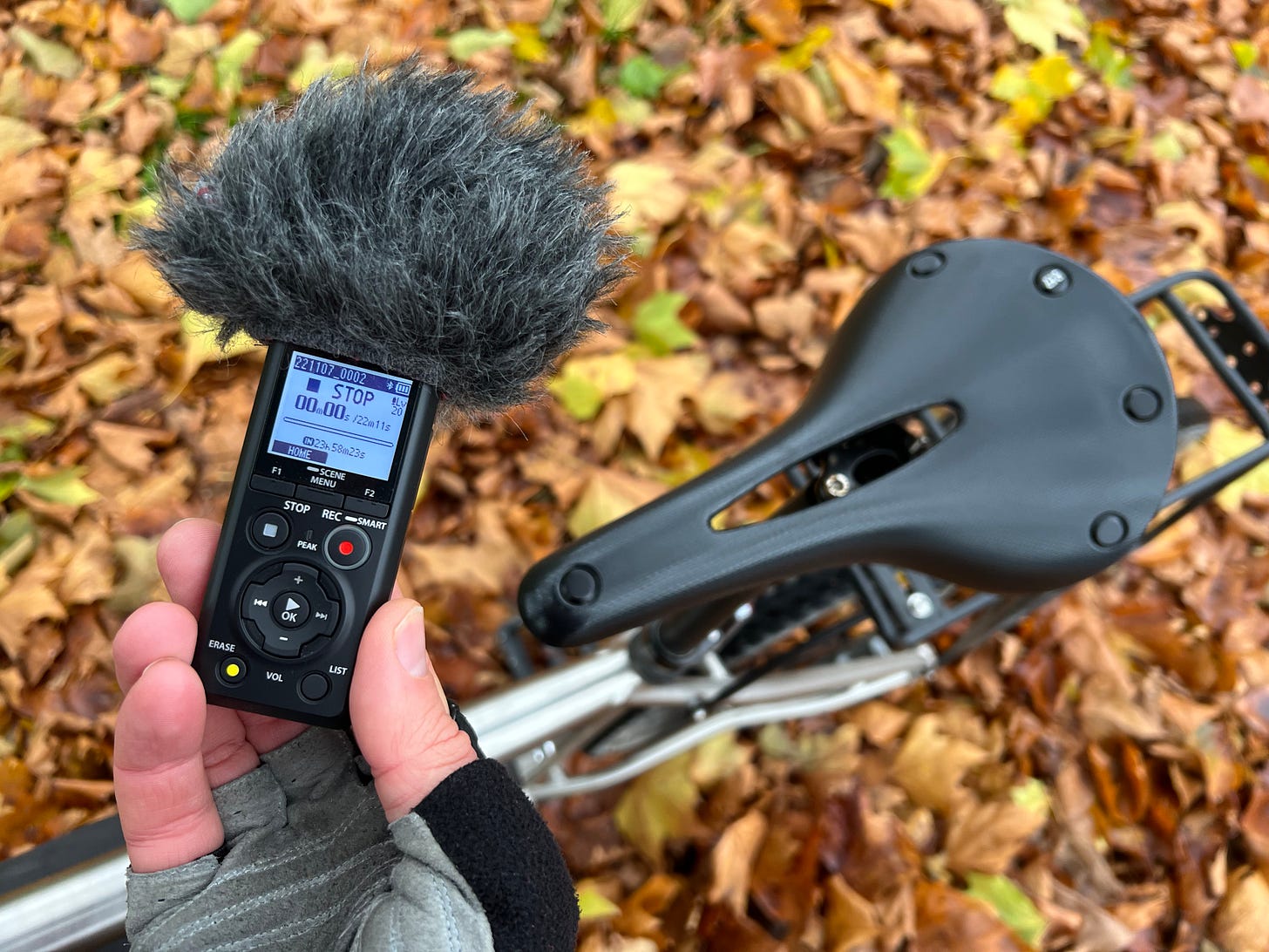 A small audio recorder with big hair is visible being held above a gravel bike standing on a bed of autumn leaves.