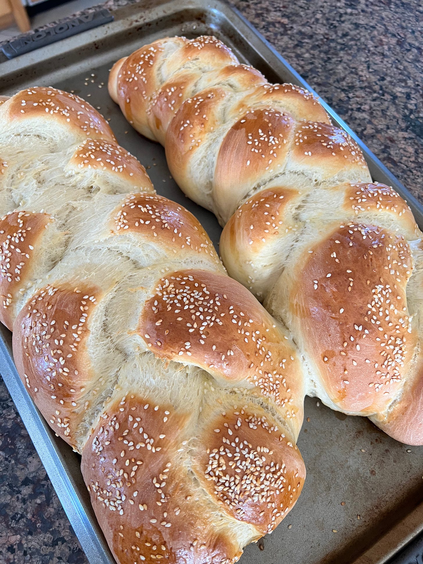 bread, baked bread, bread recipe, braided bread, sesame bread