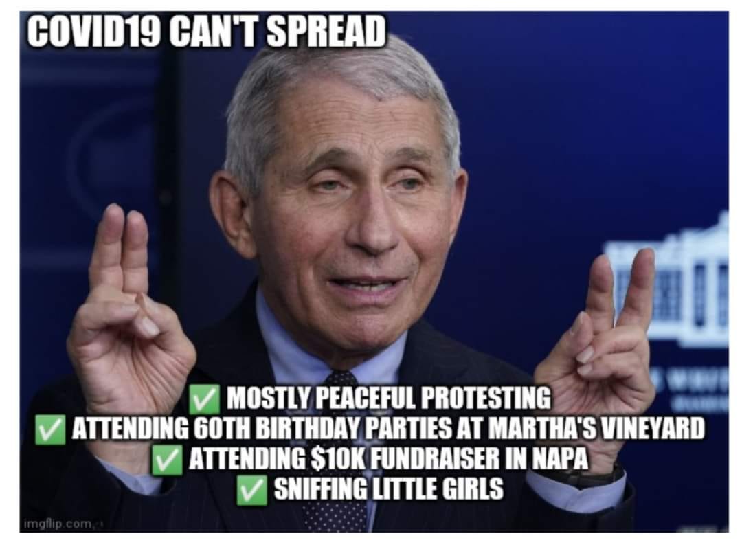 May be an image of 1 person and text that says 'COVID19 CAN'T SPREAD MOSTLY PEACEFUL PROTESTING ATTENDING 60TH BIRTHDAY PARTIES AT MARTHA'S VINEYARD ATTENDING $10K FUNDRAISER IN NAPA SNIFFING LITTLE GIRLS'