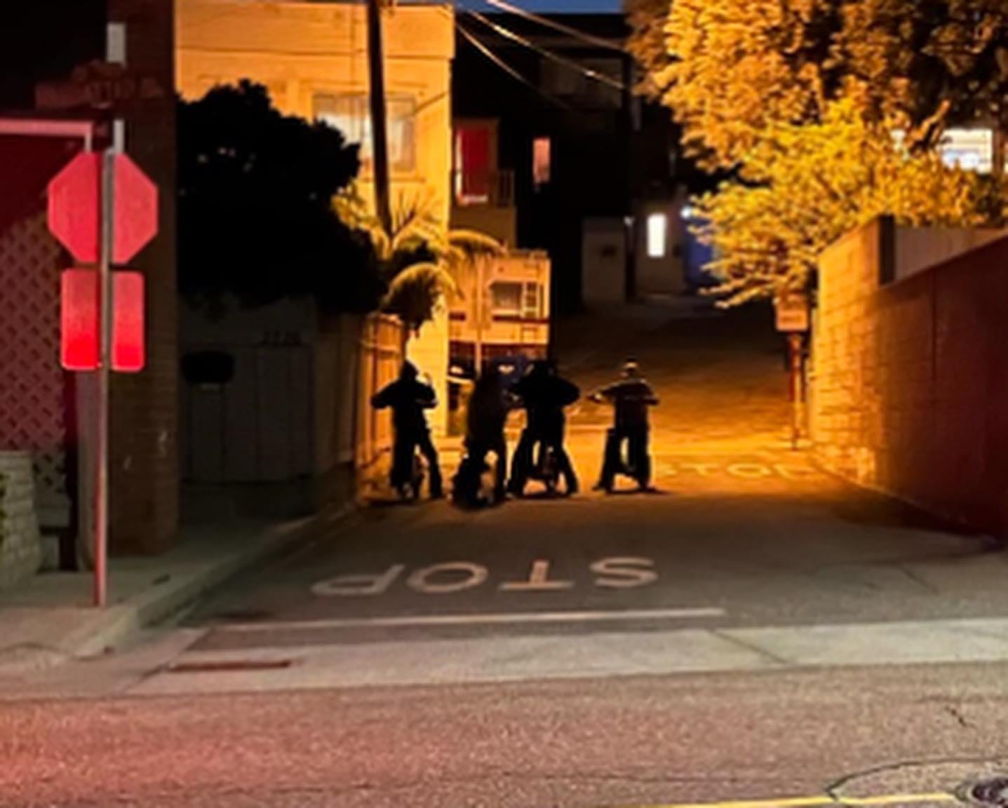 May be an image of 4 people, street and road