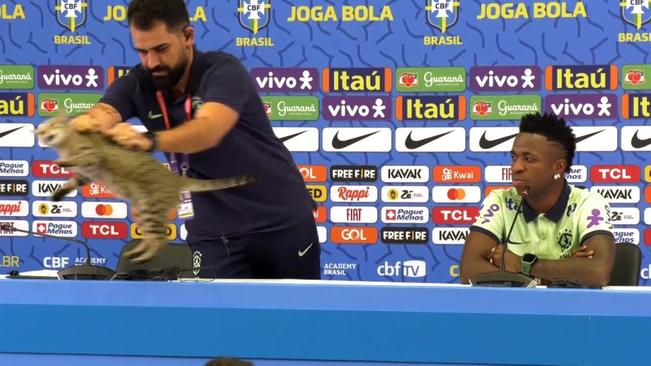 CRAZY moment a CAT interrupts Vinicius Jr's press conference! Press officer  YEETS it! - YouTube