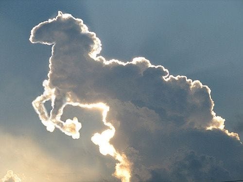 Clouds shaped like a horse!... | Horses, Clouds, Unicorn