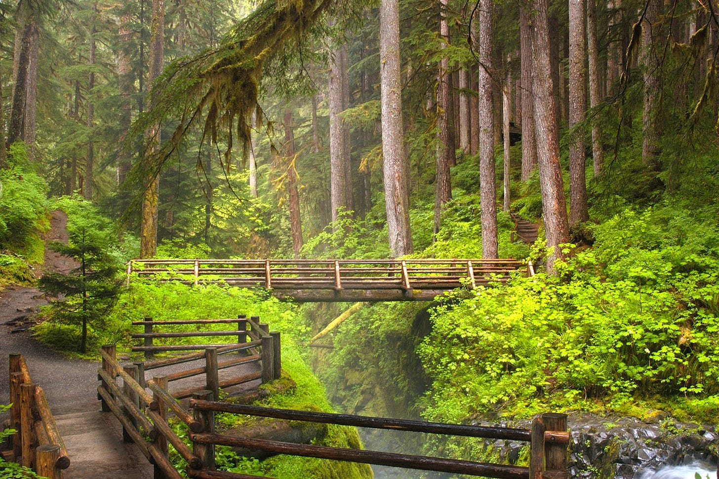 The Most Beautiful Places in the Pacific Northwest | Condé Nast Traveler