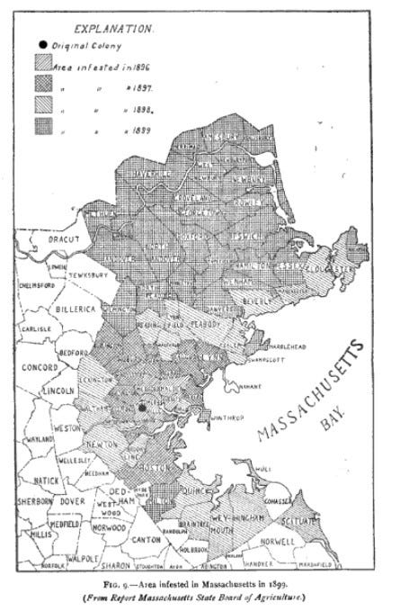 black and white historic map of eastern massachusetts with towns variously shaded to show spread of brown-tail moths