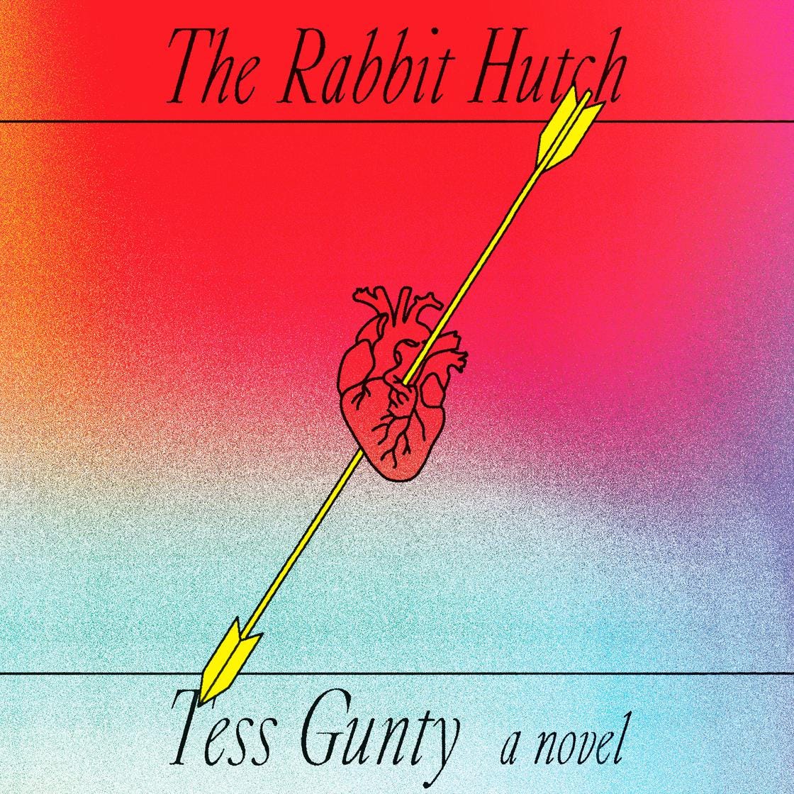 Audiobook cover of The Rabbit Hutch.
