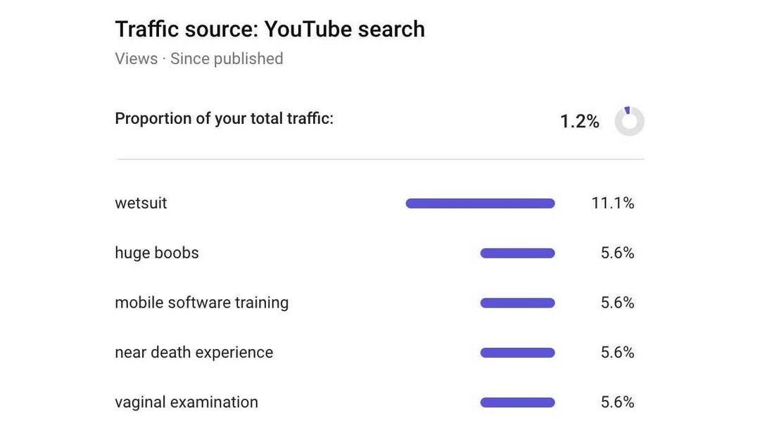 Screenshot of YouTube search keywords attributed to 1.2% of total traffic.