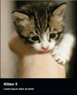 Two kitten images, alternating in a GIF. 