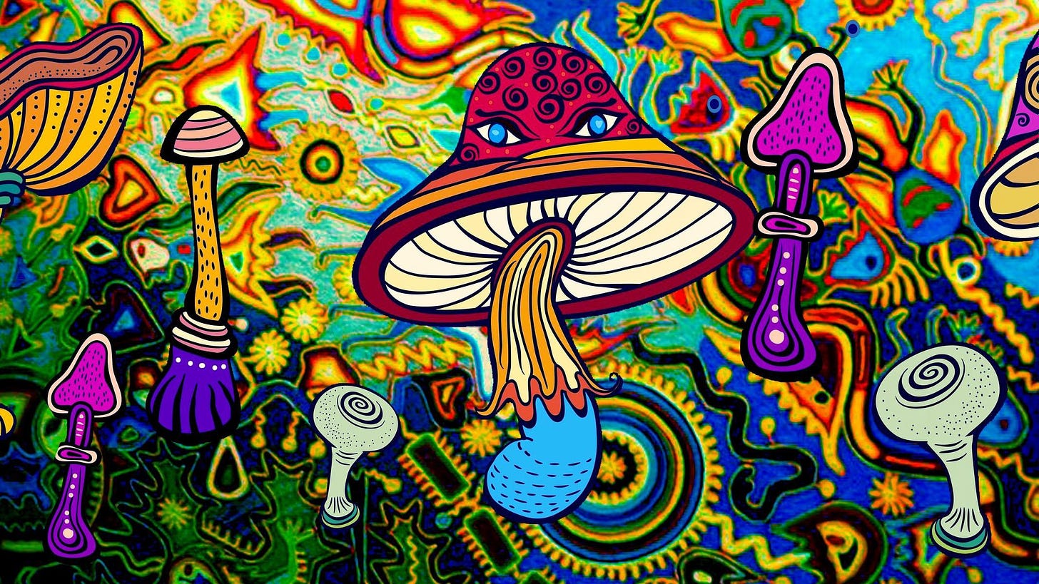 Philanthropy, psychedelics and effective altruism | by Marc Gunther | The  Psychedelic Renaissance | Medium