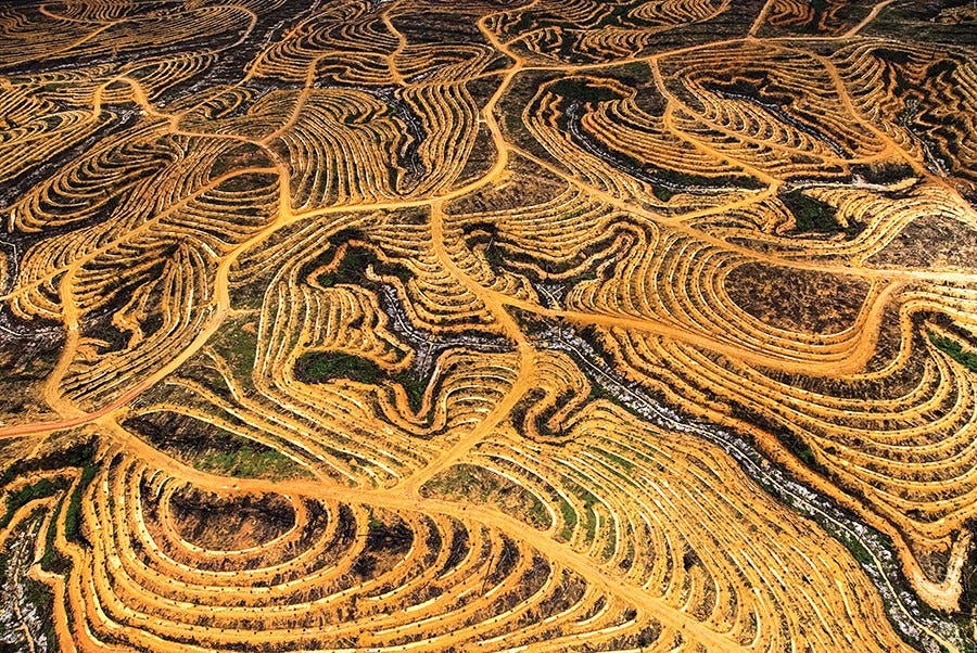 Conheça a incrível fotografia aérea de Yann Arthus-Bertrand - Revista  Galileu | Meio Ambiente