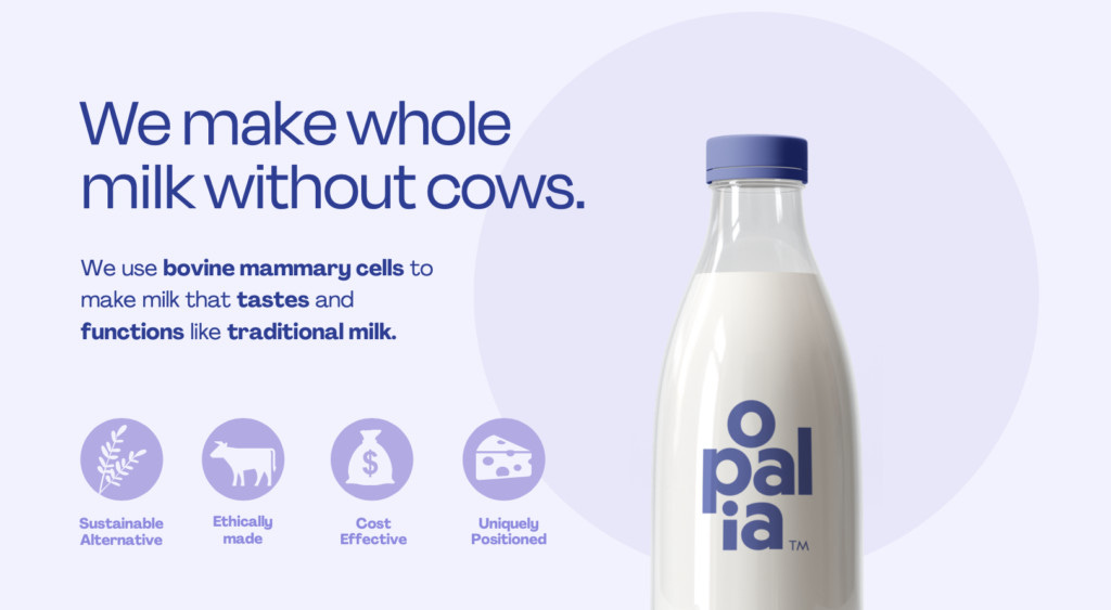 Opalia's Animal-Free Milk Closer to Launch After Removal of Fetal Bovine  Serum - vegconomist - the vegan business magazine