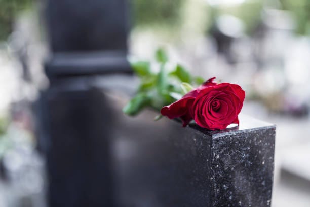 red rose on grave - loss of a loved one stock pictures, royalty-free photos & images