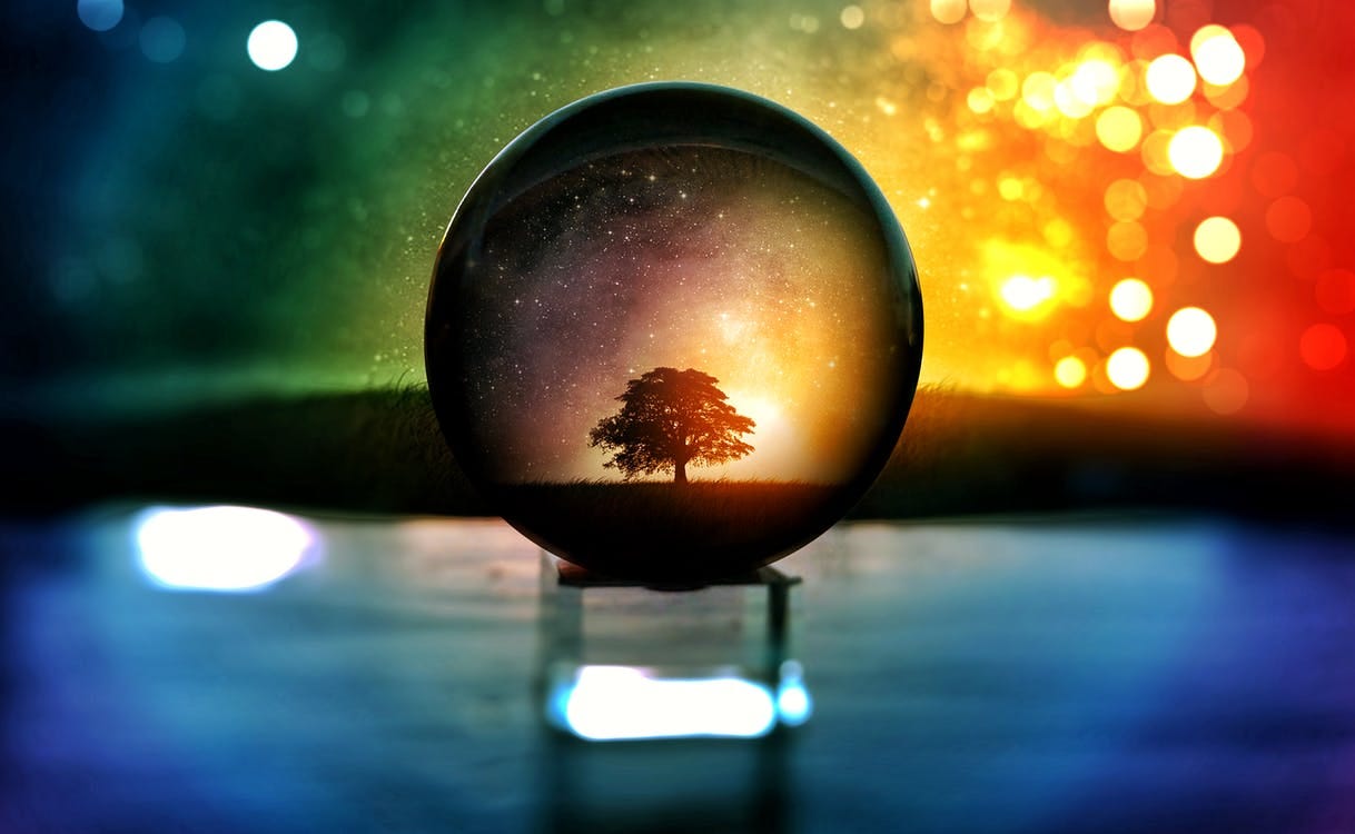 Photographie De Mise Au Point Sélective Du Globe D'eau Avec Illustration D'arbre