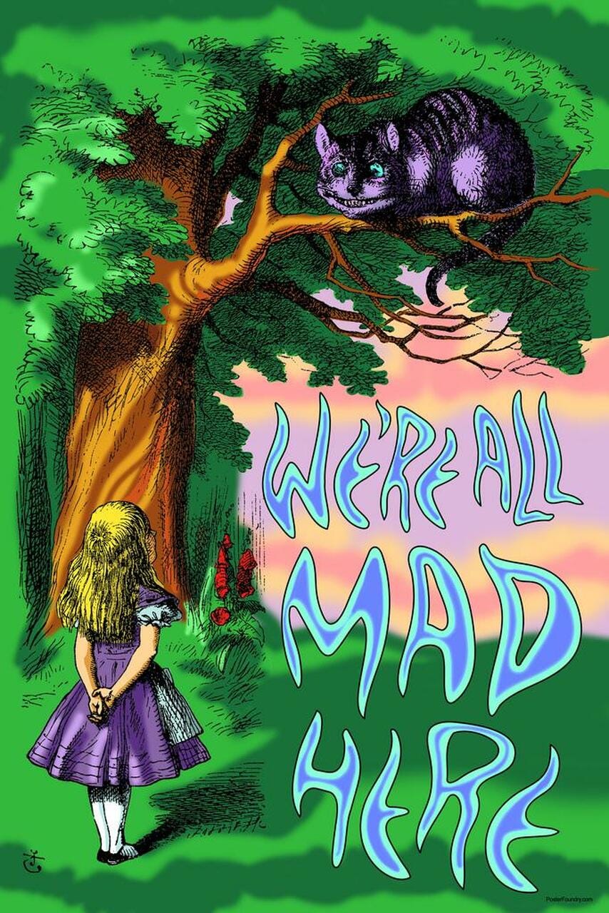 Alice in Wonderland Cheshire Cat Were All Mad Here Quote Psychedelic Trippy  Aesthetic Stretched Canvas Art Wall Decor 16x24 - Poster Foundry