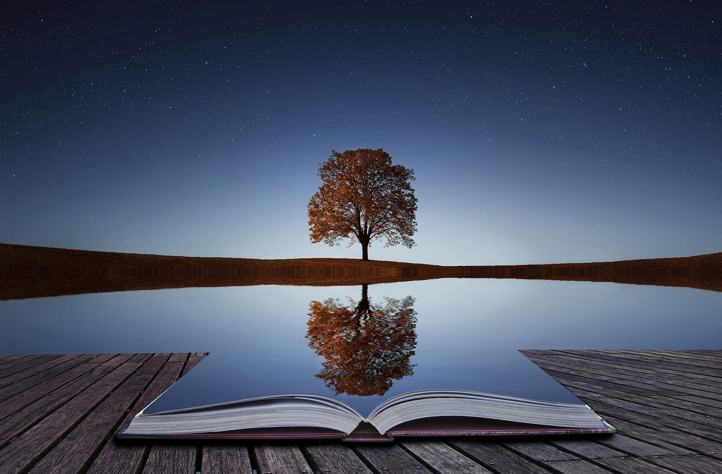 Win your life by harnessing The Power Of Reflection | by Rybo Chen | Thrive  Global | Medium