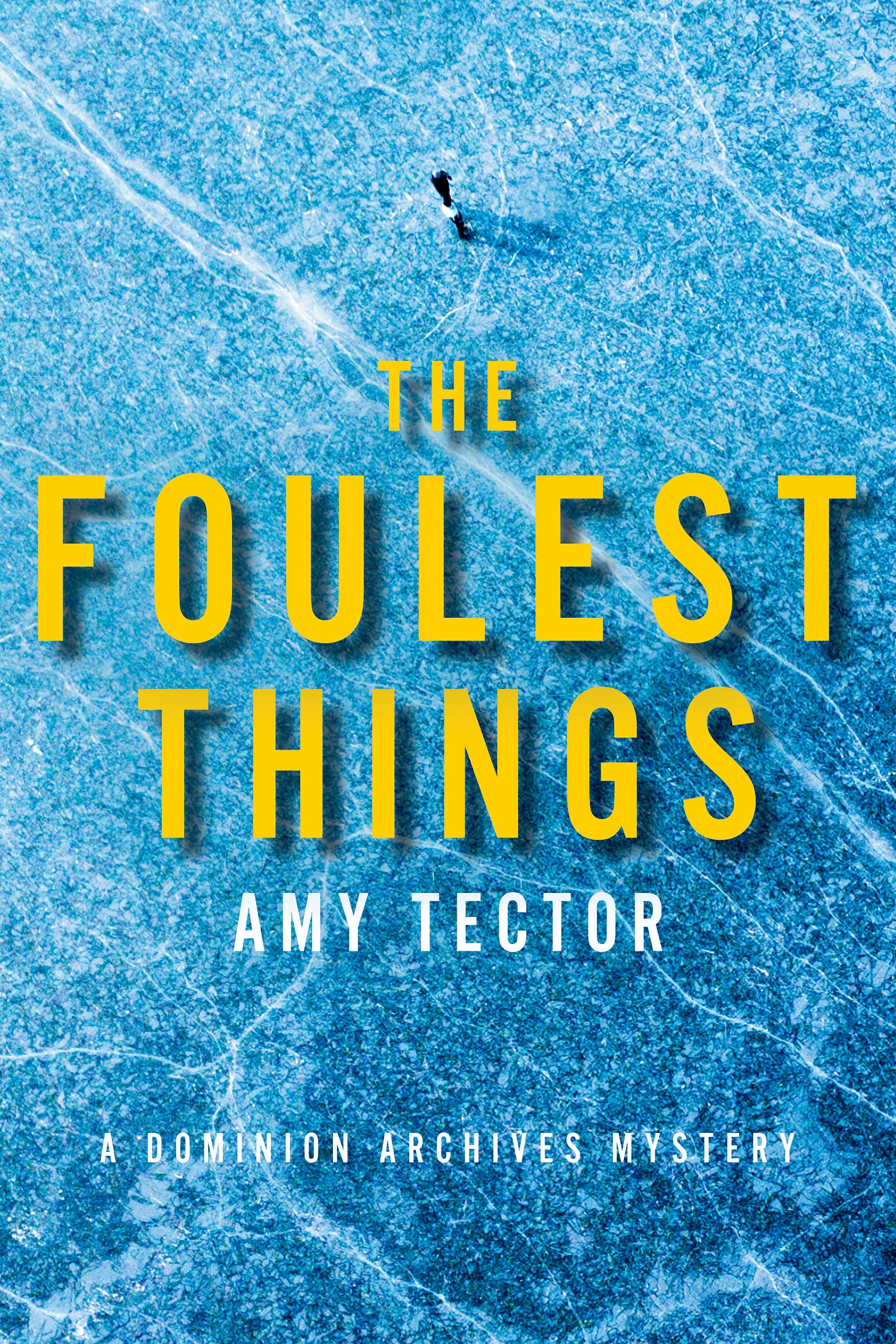 Book cover for The Foulest Things