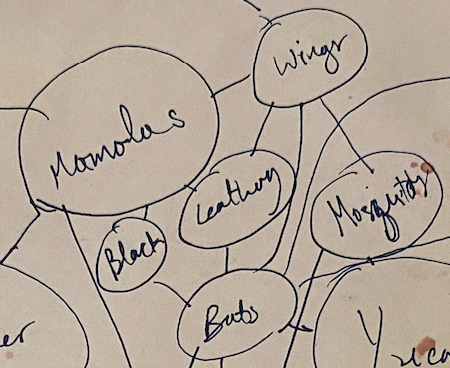 closeup of the mind map showing mamolas connecting to bats and mosquitos