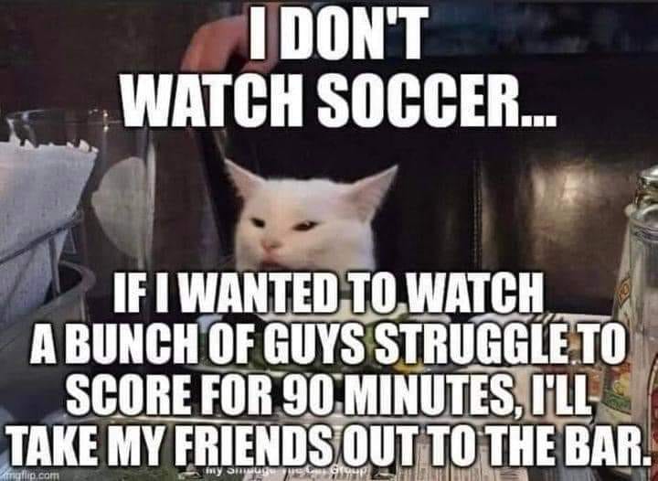 May be an image of cat and text that says 'I DON'T WATCH SOCCER... IF I WANTED TO WATCH A BUNCH OF GUYS STRUGGLETO SCORE FOR 90 MINUTES, I'LL ingflip.com TAKE MY FRIENDS Gruup OUT TO THE BAR. mngflip com mY'