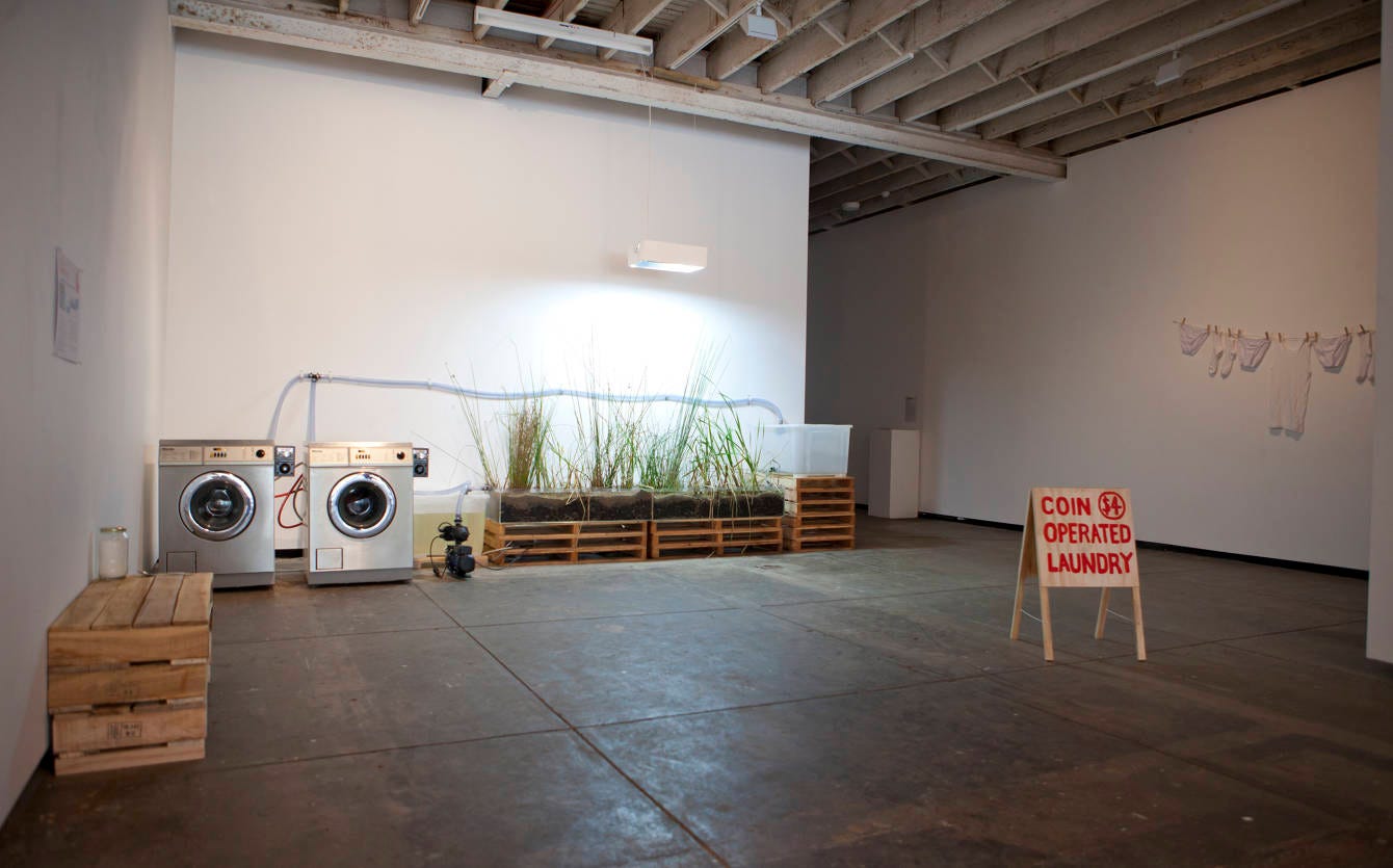 Tega Brain's Coin-Operated Wetlands project, installed in a gallery setting: two washing machines that water nearby growing wetland plants in boxes and crates, a manufactured environmental system.