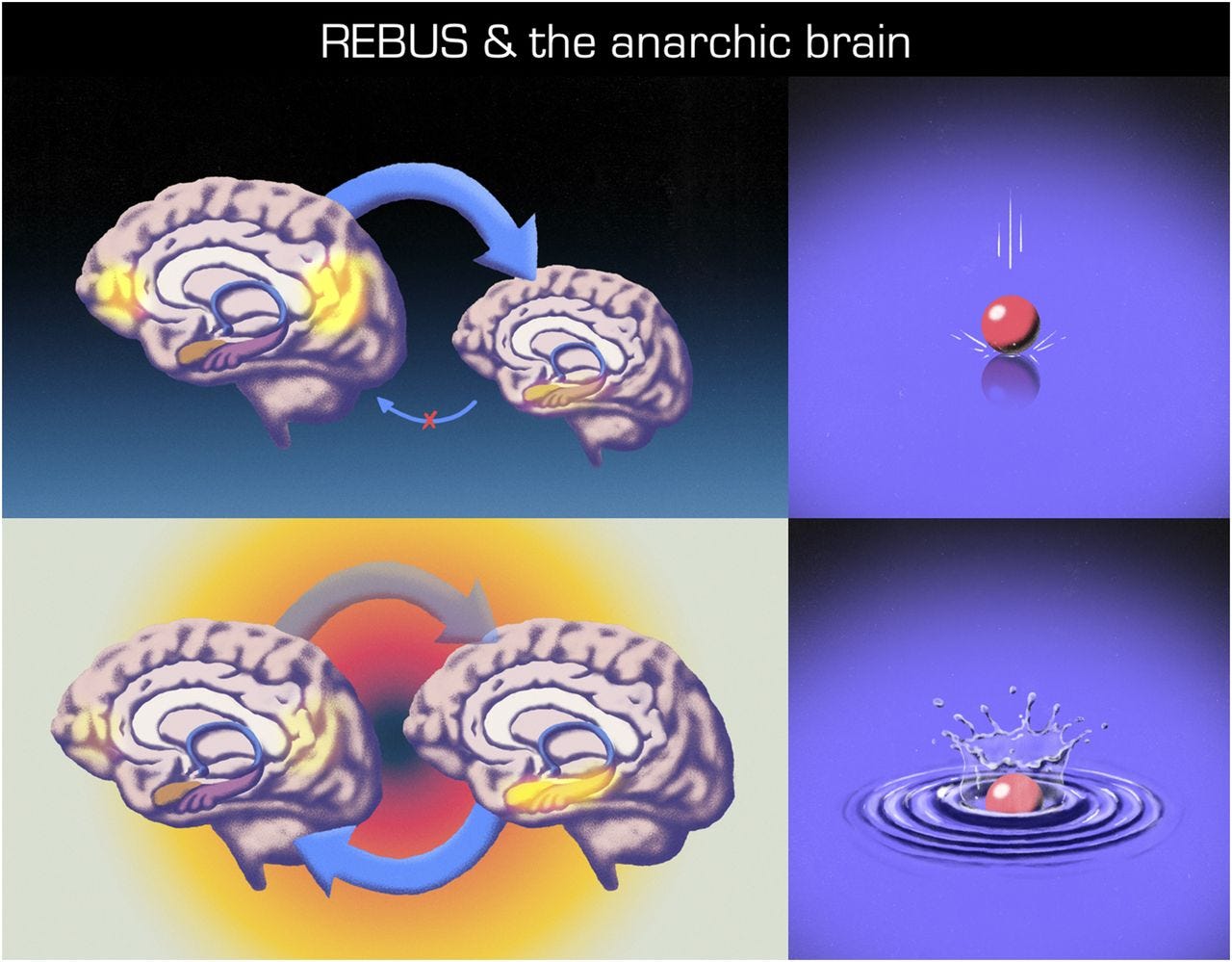 REBUS and the Anarchic Brain: Toward a Unified Model of the Brain Action of  Psychedelics | Pharmacological Reviews