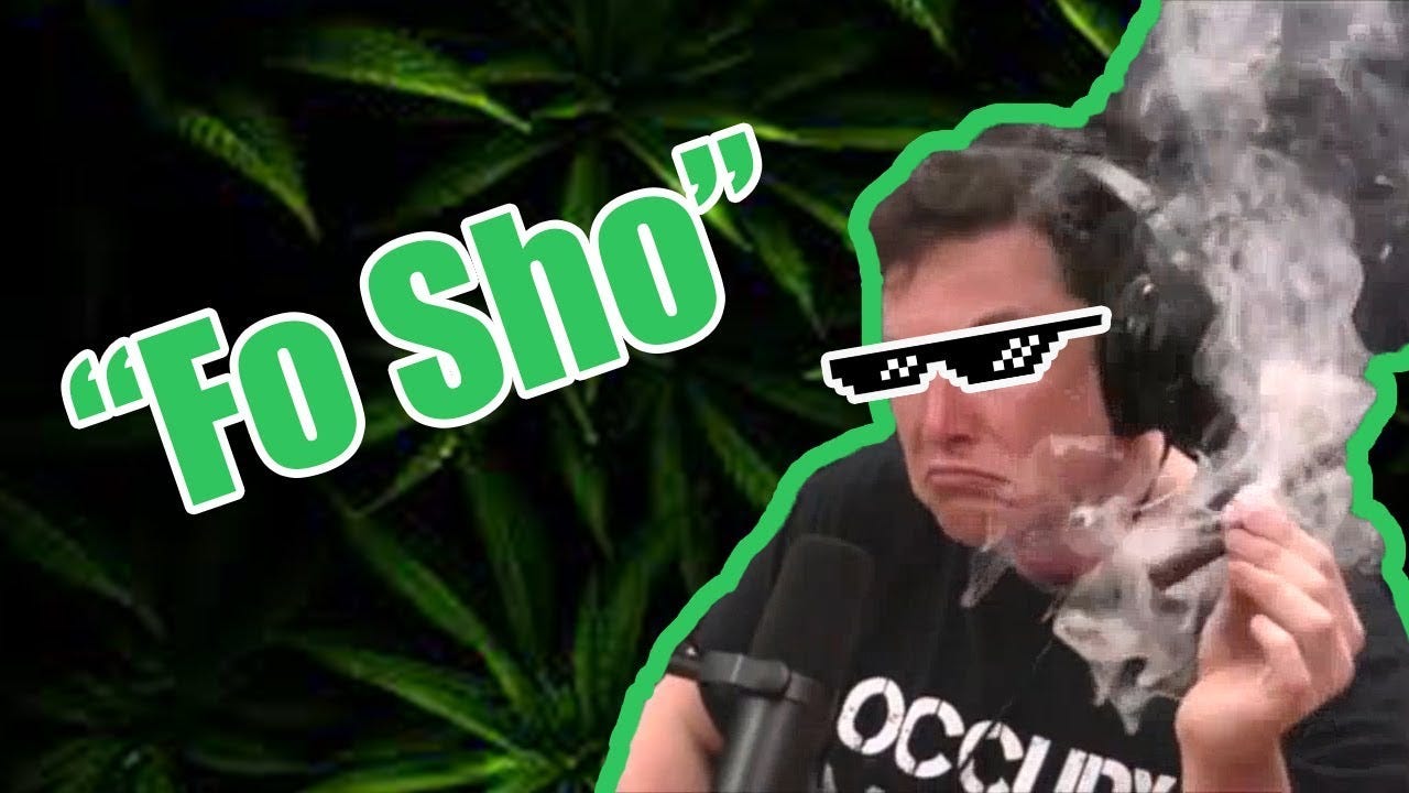 Elon Musk Smoking Weed | Know Your Meme