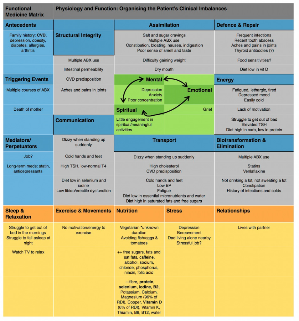 what is a functional medicine matrix